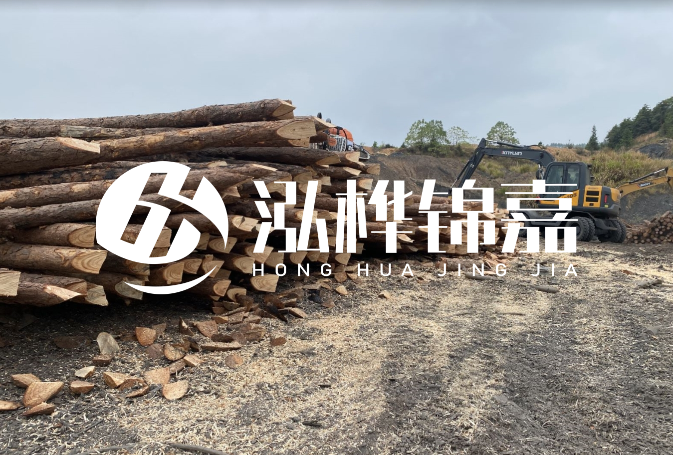 松木樁尾徑是什么意思？