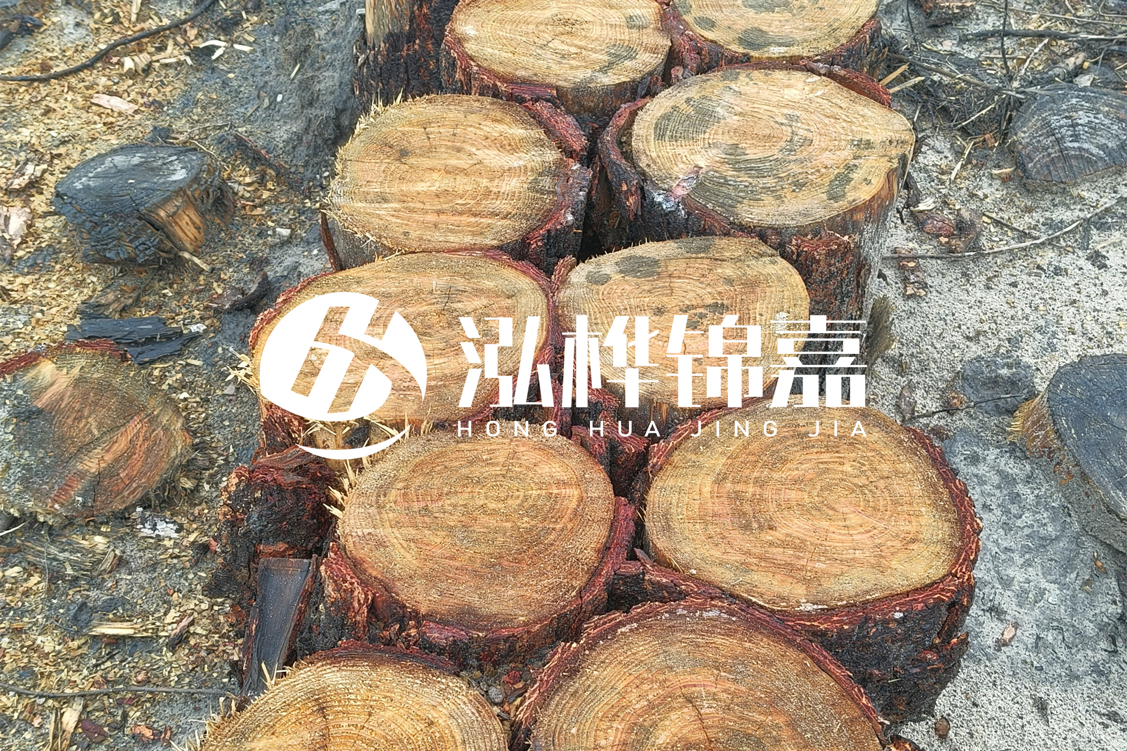 浙江臺州有清淤的公司嗎？浙江臺州有清淤施工隊(duì)嗎？