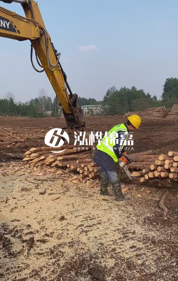 滁州挖機(jī)打木樁專業(yè)施工-河道打木樁與河岸加固關(guān)系？