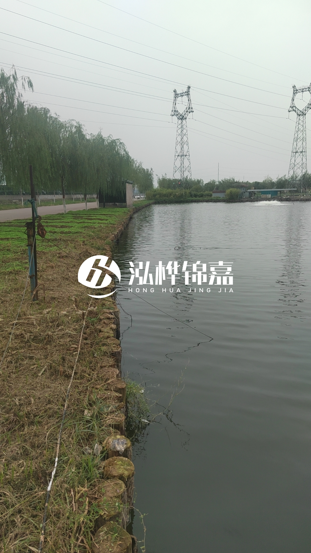 大同河道打松木樁施工-護(hù)坡木樁新的好還是舊的？