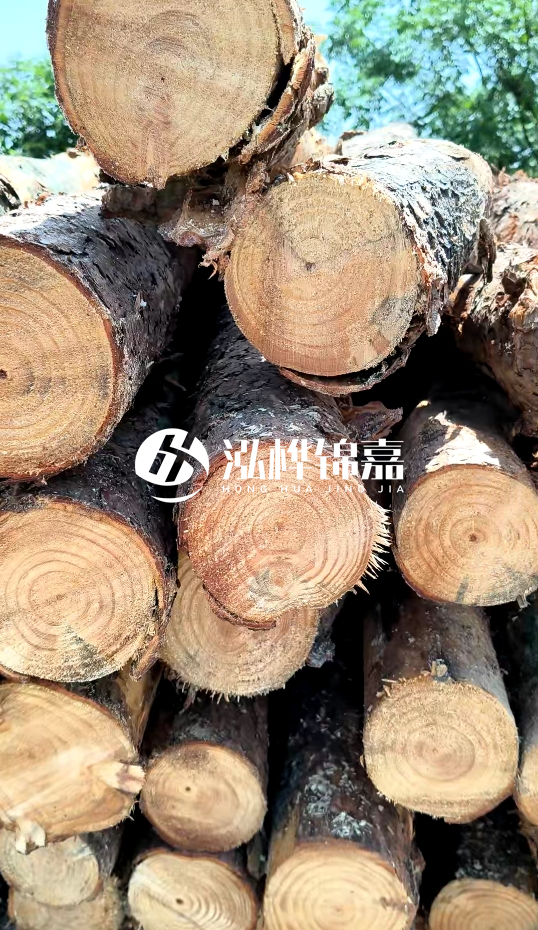 周口挖機打木樁專業(yè)施工-杉木樁施工打樁怎么打？