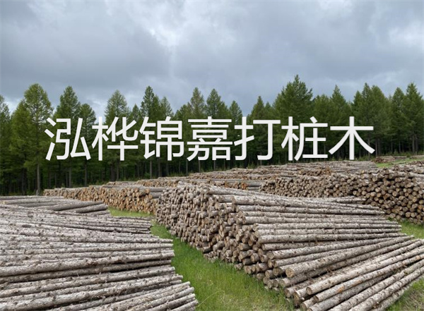 解鎖性價比之選，50厚菠蘿格防腐木價格實惠