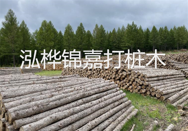 桐木板材和松木板材哪個好-如何選擇適合自己的木板材料？