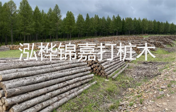 輻射松價格一覽，帶您了解輻射松多少錢一個立方的價格區(qū)間