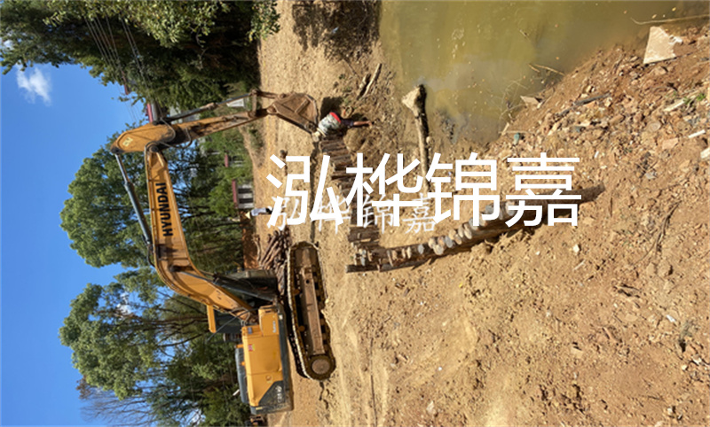 為什么松樹和云杉不能種在一起？