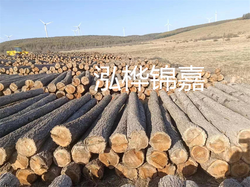 甲醛檢測上門服務(wù)，輕松保障您的居家健康