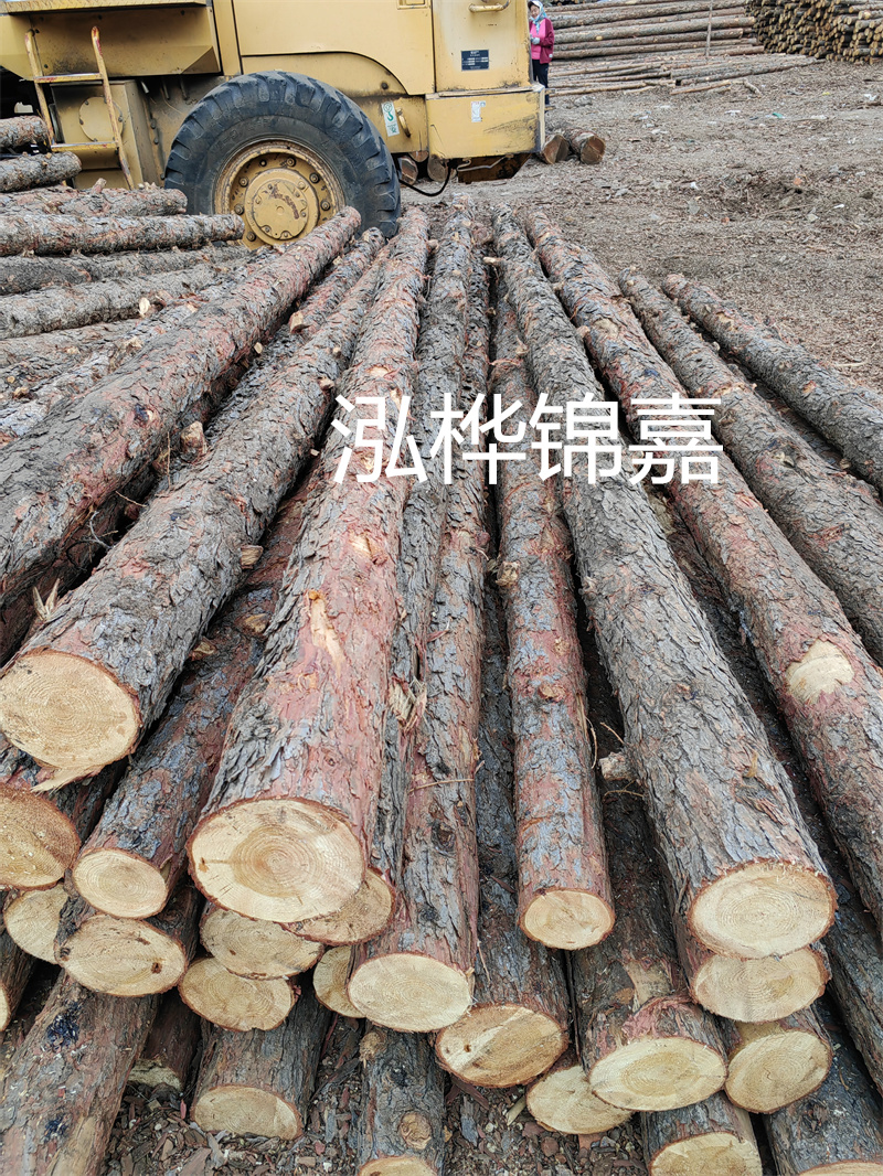 加工廢木頭顆粒要投資多少錢？