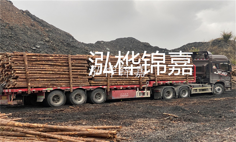 大理松木樁哪里賣？選擇合適的松木樁來(lái)保護(hù)你的建筑